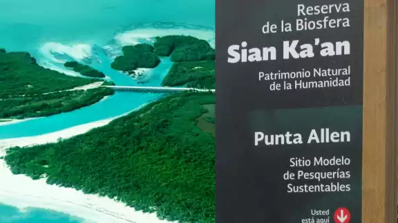 La Reserva de Sian Ka'an en Quintana Roo ocupa más de 258 mil hectáreas de superficie frente al Mar Caribe y el Gran Arrecife Maya La Reserva de Sian Ka'an en Quintana Roo ocupa más de 258 mil hectáreas de superficie frente al Mar Caribe y el Gran Arrecife Maya