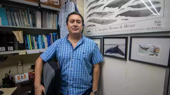 Raúl Díaz Gamboa, jefe del departamento de biología marina de la UADY, indicó que los atascamientos obedecen a mútiples factores Raúl Díaz Gamboa, jefe del departamento de biología marina de la UADY, indicó que los atascamientos obedecen a mútiples factores
