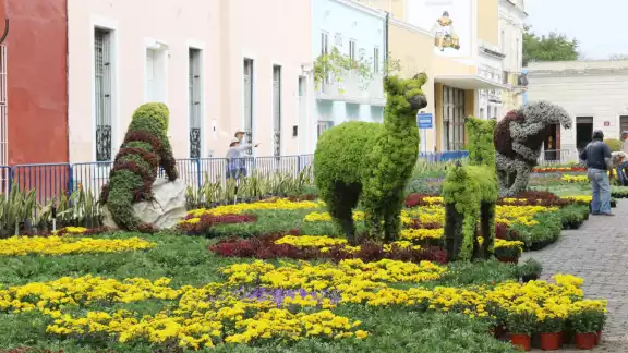 El paseo de las flores será inaugurado este 6 de diciembre