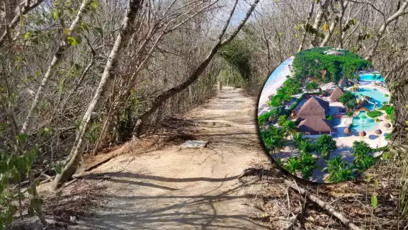 Según lo denunciado por trabajadores, el sargazo que se recoge en playas cercanas al Palladium Kantenah, es llevada a este tiradero 'clandestino' del alga, dentro de sus instalaciones Según lo denunciado por trabajadores, el sargazo que se recoge en playas cercanas al Palladium Kantenah, es llevada a este tiradero 'clandestino' del alga, dentro de sus instalaciones