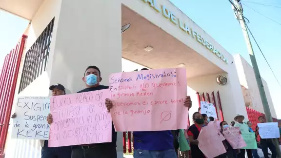 Se teme que sea reabierta la granja porcícola de Kekén en Sitilpech Se teme que sea reabierta la granja porcícola de Kekén en Sitilpech