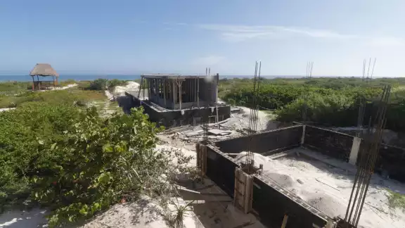 La empresa ha deforestado los árboles en el manglar de Chuburná La empresa ha deforestado los árboles en el manglar de Chuburná