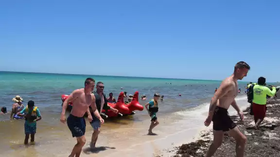 Fueron más de 4 mil turistas que llegaron a Progreso, Yucatán Fueron más de 4 mil turistas que llegaron a Progreso, Yucatán