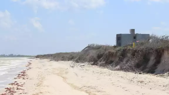 El 29 de enero de 1990, por el Acuerdo 35, publicado en el Diario Oficial de la Federación se delimitó la Reserva de El Palmar