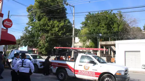 Vecinos mencionaron que al menos tres perros registraron ataques del felino mientras huía Vecinos mencionaron que al menos tres perros registraron ataques del felino mientras huía