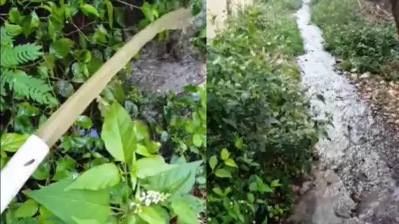 El derrame de aguas negras en Punta Sur se suma a los ocurridos en Isla Mujeres, que llegan a las playas y contaminan el mar