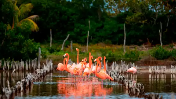 Muchos turistas llegan a Yucatán buscando hacer actividades en contacto con la naturaleza