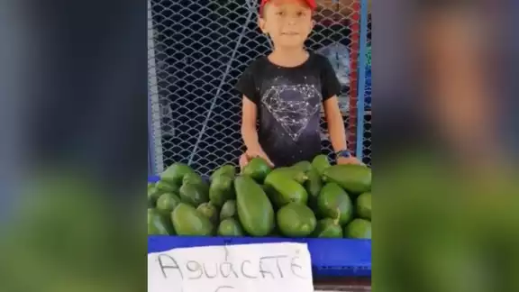 El puesto de Juanito se encuentra ubicado en la esquina de Plutarco Elías Calles esquina Rafael E. Melgar en la ciudad de Chetumal El puesto de Juanito se encuentra ubicado en la esquina de Plutarco Elías Calles esquina Rafael E. Melgar en la ciudad de Chetumal
