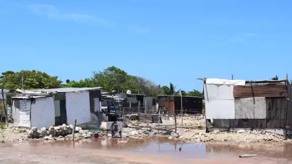 Los habitantes corren el riesgo de ser atacados por caimanes, alerta Profepa Los habitantes corren el riesgo de ser atacados por caimanes, alerta Profepa