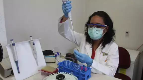 Continúa la búsqueda de una vacuna universal para detener esta pandemia