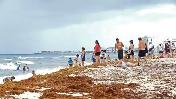 Los propietarios de hoteles afirman que ellos mismos se encargan del retiro del sargazo de la costa Los propietarios de hoteles afirman que ellos mismos se encargan del retiro del sargazo de la costa