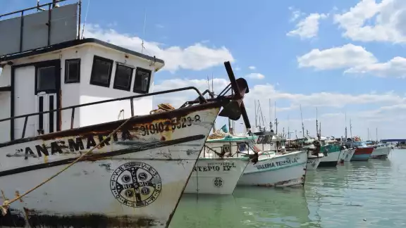 Durante esta temporada se espera que se pueda superar la meta de regresar a tierra con seis mil toneladas de escama Durante esta temporada se espera que se pueda superar la meta de regresar a tierra con seis mil toneladas de escama