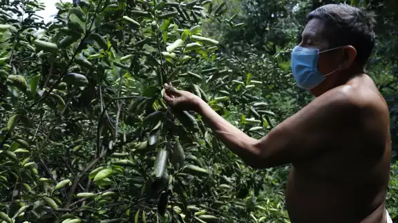 Virgilio Chi, vecino de este pueblo maya, asegura que desde hace un año empezó a notar afectaciones en sus sembradíos Virgilio Chi, vecino de este pueblo maya, asegura que desde hace un año empezó a notar afectaciones en sus sembradíos
