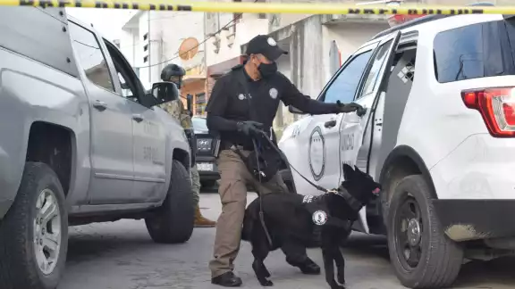 Es el segundo operativo antidrogas realizado en 2023 en Progreso