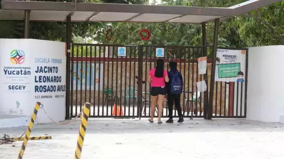 Mérida es en donde hay más mentores infectados Mérida es en donde hay más mentores infectados