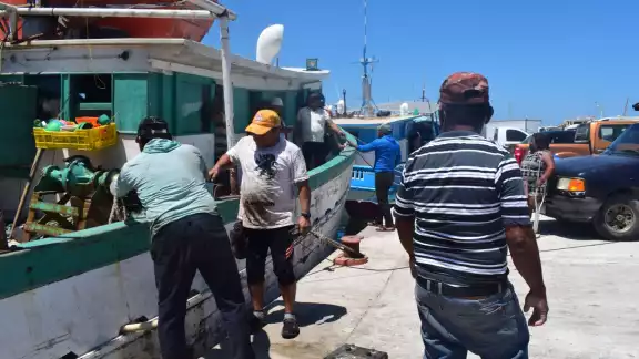 Entre el 1 y 2 de abril próximos saldrán a atrapar la especie Entre el 1 y 2 de abril próximos saldrán a atrapar la especie
