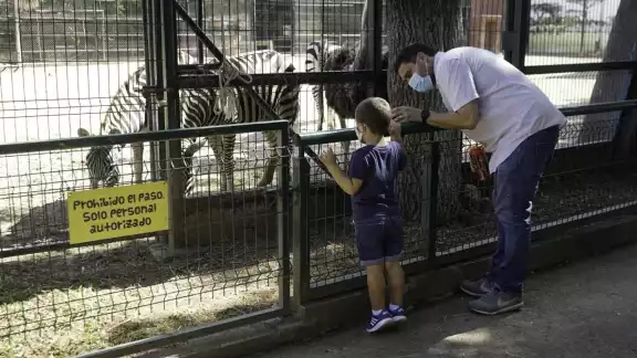 Los animales del Centenario han ido cambiando a lo largo de los años