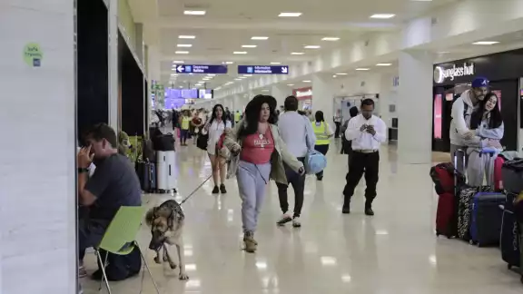 Los dueños de animales tienen que pagar hasta mil 500 pesos por cada uno, además de 3 mil 100 pesos por permisos, vacunas, transportadoras, entre otros requisitos.