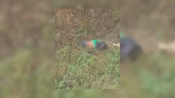 El motociclista quedó tendido entre la maleza a un lado de la carretera tras el accidente que le quitó la vida en la Zona Maya de Q.Roo El motociclista quedó tendido entre la maleza a un lado de la carretera tras el accidente que le quitó la vida en la Zona Maya de Q.Roo