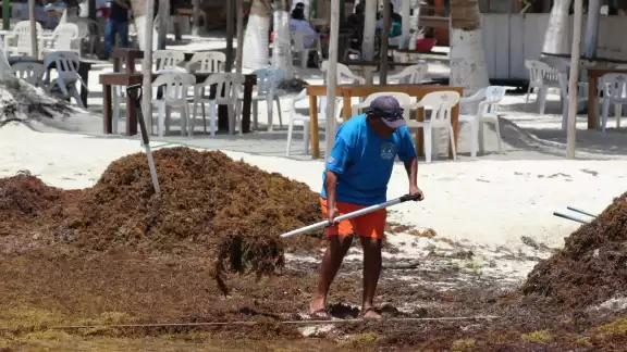 Los empresarios buscan dar una buena imagen al turismo que viaja a bordo del crucero, que llegará la próxima semana a Mahahual Los empresarios buscan dar una buena imagen al turismo que viaja a bordo del crucero, que llegará la próxima semana a Mahahual