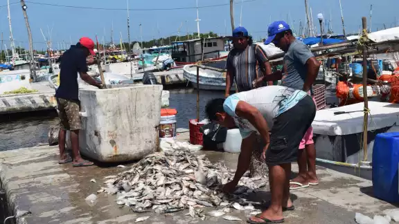Solo podrán estar 12 pescadores por embarcación Solo podrán estar 12 pescadores por embarcación