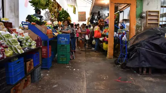 Mercados de Campeche serán fumigados durante esta semana