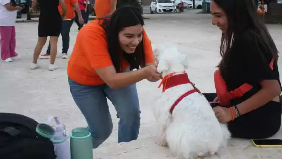 Candidata Vida Gómez Herrera realiza recorrido por calles de Yucatán