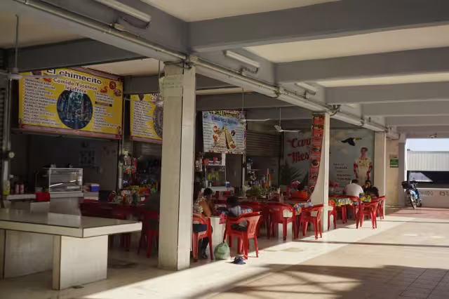 Oferentes del programa Mérida en Domingo adelantaron que, si no se concreta nada, se encadenarán a las columnas del Ayuntamiento