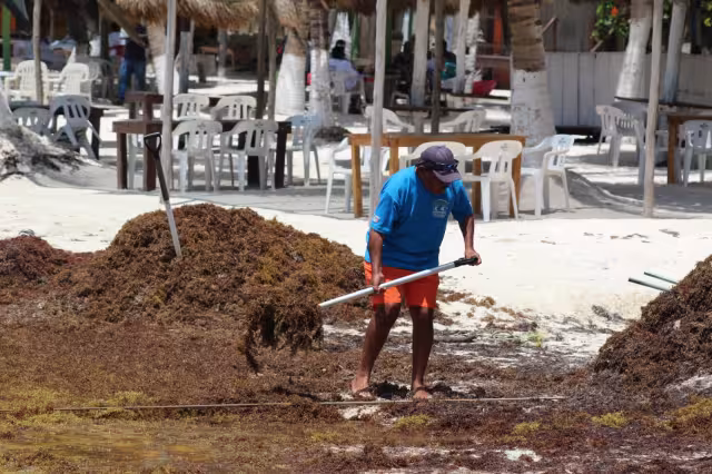 Los empresarios buscan dar una buena imagen al turismo que viaja a bordo del crucero, que llegará la próxima semana a Mahahual