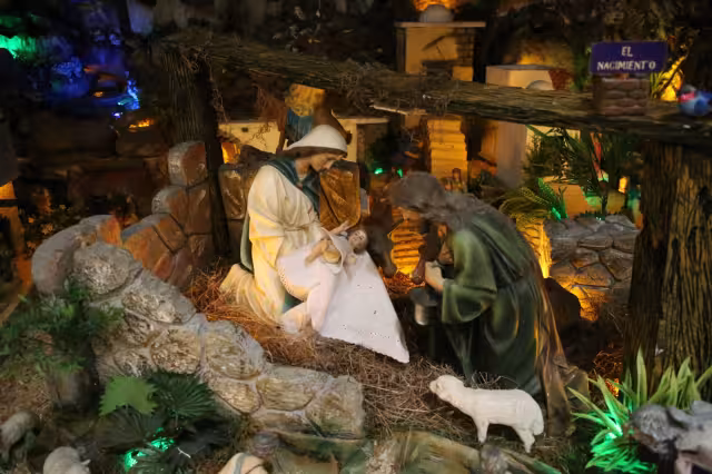 Las puertas del albergue de adultos mayores estarán abiertas de 10:00 a 20:00 horas