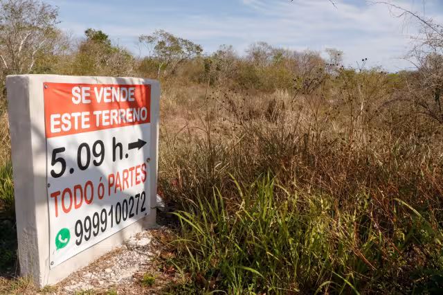 “Hogare Palmira” vende espacios en Sierra Papacal