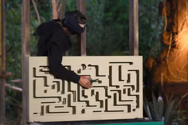 Filtran nombre de los ganadores de la Recompensa en Survivor México 2024