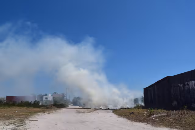 El incendio se sofocó antes de que se propagara a zonas habitacionales