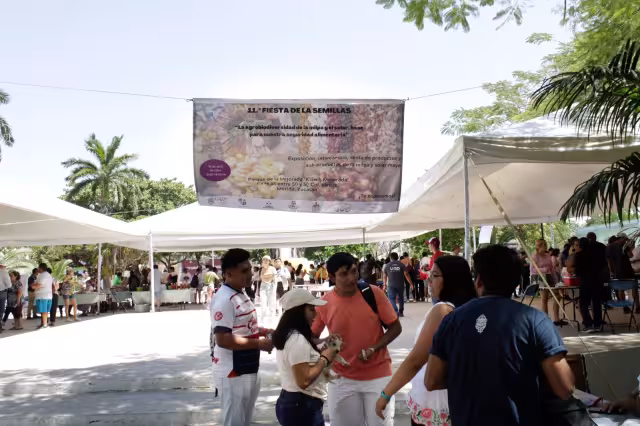 La 'Fiesta de las Semillas' se realiza en el Parque de Santa Ana de Mérida