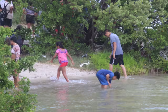 Familias enteras corren peligro por ser atacados por cocodrilos en el manglar