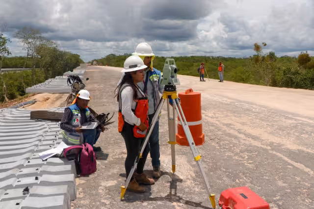 Las estructuras minimizan la división de ecosistemas y aumentan la circulación de animales