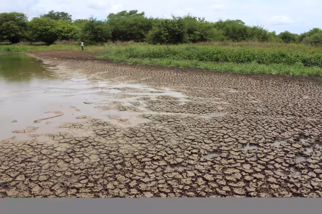 En la segunda quincena de noviembre, fueron 37 demarcaciones de la región peninsular con problemas por la falta de lluvia