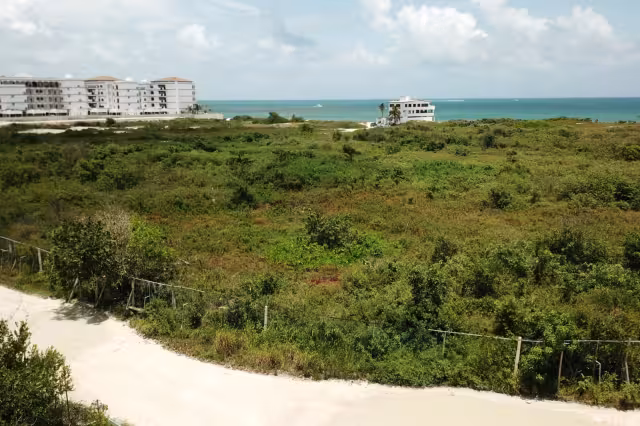 La edificación del centro de hospedaje afectará el medio ambiente
