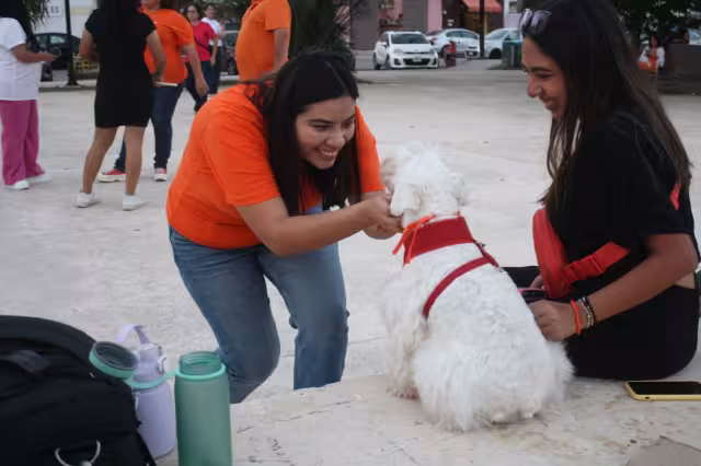 Candidata Vida Gómez Herrera realiza recorrido por calles de Yucatán