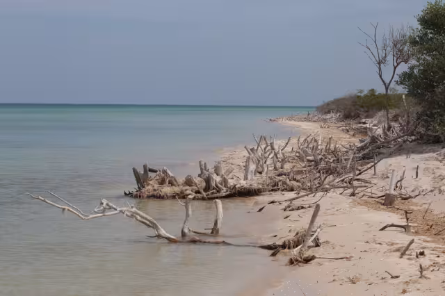 Inmobiliaria El Palmar de Sisal pidió, en 2021 permiso para construir una torre de 11 departamentos de seis niveles