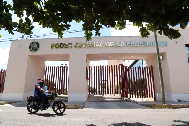 El juez Adrián Novelo definirá hoy si concede o no la suspensión de un criadero de cochinos ubicado en la comisaría izamaleña