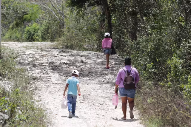 El 2014 fue el año con las cifras más altas y el 2020 con las más bajas, debido a la contingencia global