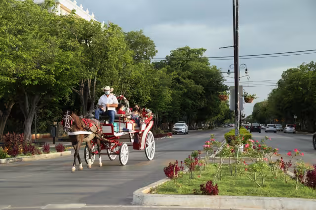 Yucatán tndrá una tarde templada con altas temperaturas por lo que se recomienda mantenerse hidratado