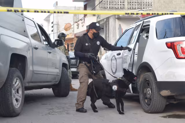 Es el segundo operativo antidrogas realizado en 2023 en Progreso