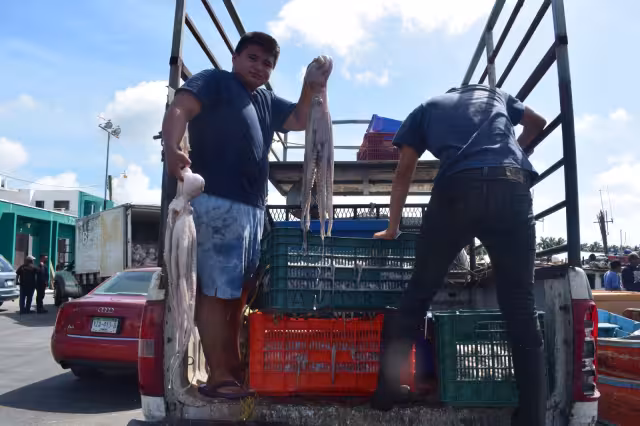 La captura de escama será la alternativa para el hombre de mar, cuando comiencen las vedas