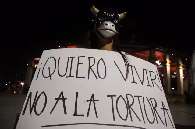 Animalistas manifestaron que el Ayuntamiento sigue haciendo mal las cosas con relación al respeto a la fauna