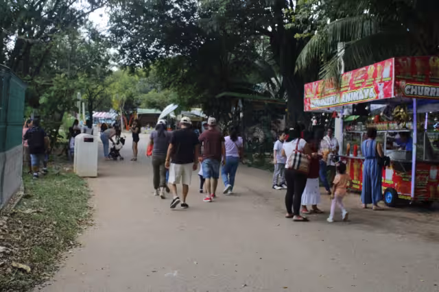 Las visitas al Centenario de Mérida y Animaya se reanudarán el sábado 30 de marzo