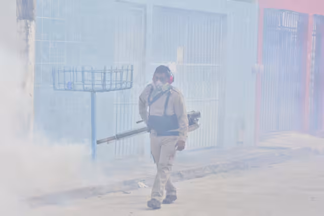 A finales de diciembre comenzó a reducir su curva de crecimiento.
Exhortan a la población a evitar criaderos de moscos
