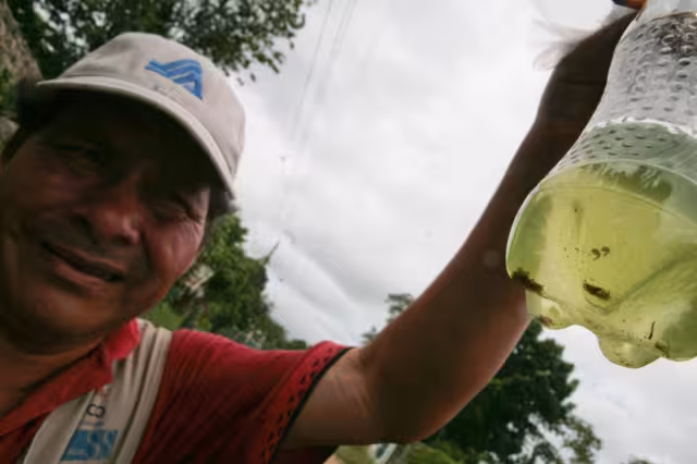 Dengue daría inmunidad contra COVID-19 (Cuartoscuro)