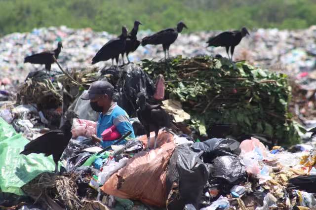 Don José Ángel, rodeado de zopilotes en en basurero de Chetumal